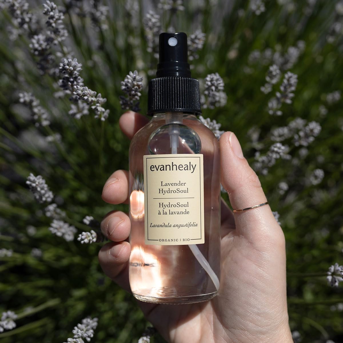 evanhealy Lavender HydroSoul - Copper Distilled Hydrosol - Calms Redness, Soothes Irritated Reactive Skin - Organic Lavender Facial Tonic - Calming Beauty and Personal Care evanhealy