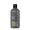 ATTITUDE Shower Gel Body Wash for Men, 98% Natural Origin Ingredients, Paraben & Phthalate Free, EWG Verified, Cleanses Without Drying, Amber Beauty & Personal Care ATTITUDE