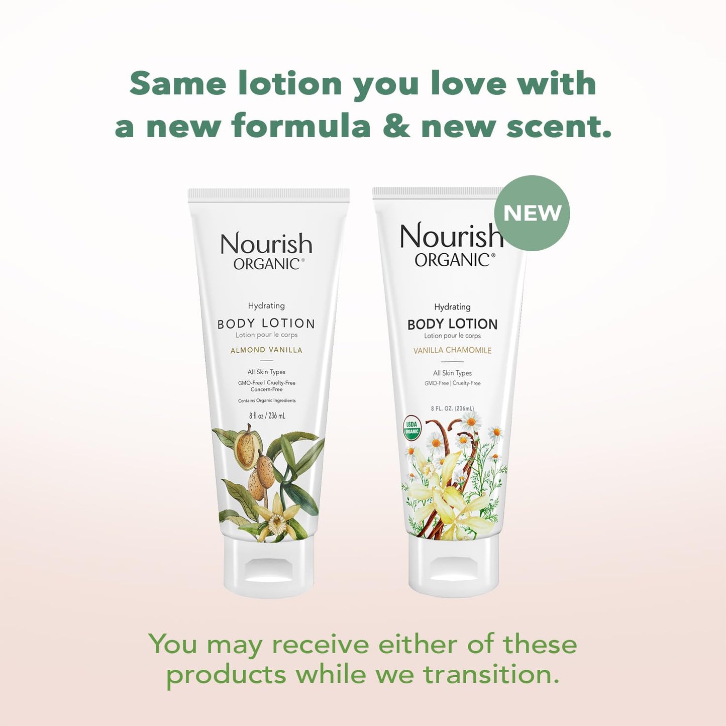 Nourish Organic Body Lotion, Almond Vanilla - Hydrating Body Lotion for Dry Skin with Aloe Vera & Shea Butter (8 Oz) + Washable Cotton Round Beauty & Personal Care Nourish Organic