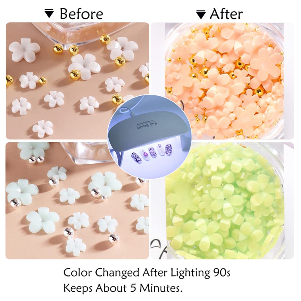 3D Flower Nail Art Charms, 6 Grids 3D Acrylic Nail Flowers Rhinestone Light Change Pink White Blue Cherry Blossom Acrylic Spring Nail Art Supplies Beauty & Personal Care Qdsuh