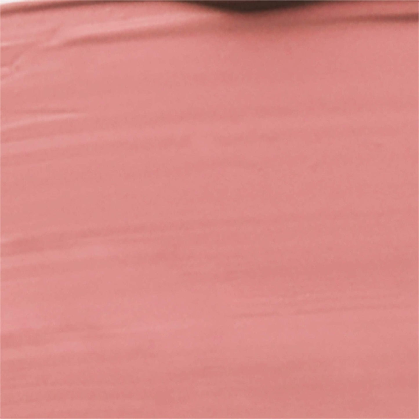 wet n wild Megalast Catsuit Matte Liquid Lipstick, Pink Nudist Peach | Lip Color Makeup | Moisturizing | Creamy | Smudge Proof Beauty & Personal Care wet n wild