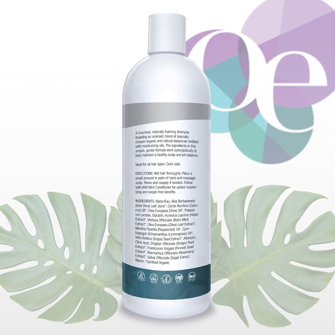 Organic Excellence Mint Shampoo, 16-Ounces (Pack of 2) Beauty & Personal Care Organic Excellence