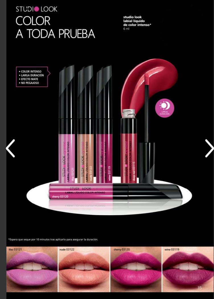 Cyzone Studio Look Intense Color Liquid Lipstick, Long Lasting High Fixing, Color: Rose Nude Beauty & Personal Care Cyzone L'Bel