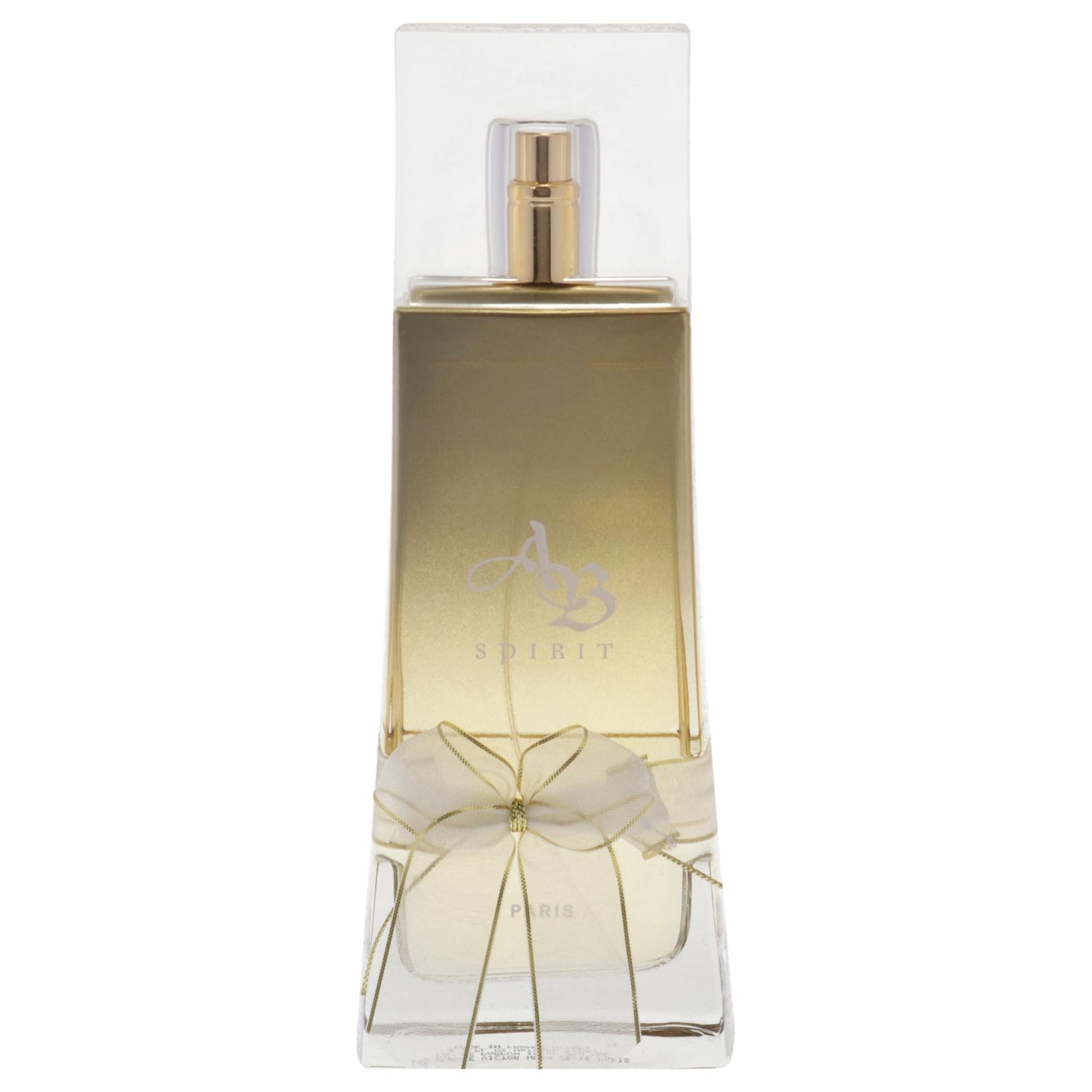 Lomani AB Spirit Eau De Parfum Spray for Women, 3.3 Ounce Beauty & Personal Care Lomani