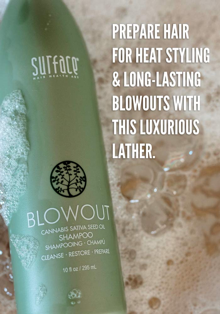 Surface Hair - Blowout Shampoo - Organic Shampoo for Women and Men, Heat-Resistant with Babassu Oil for Longer Lasting Blowouts - 10 fl oz Beauty & Personal Care SURFACE