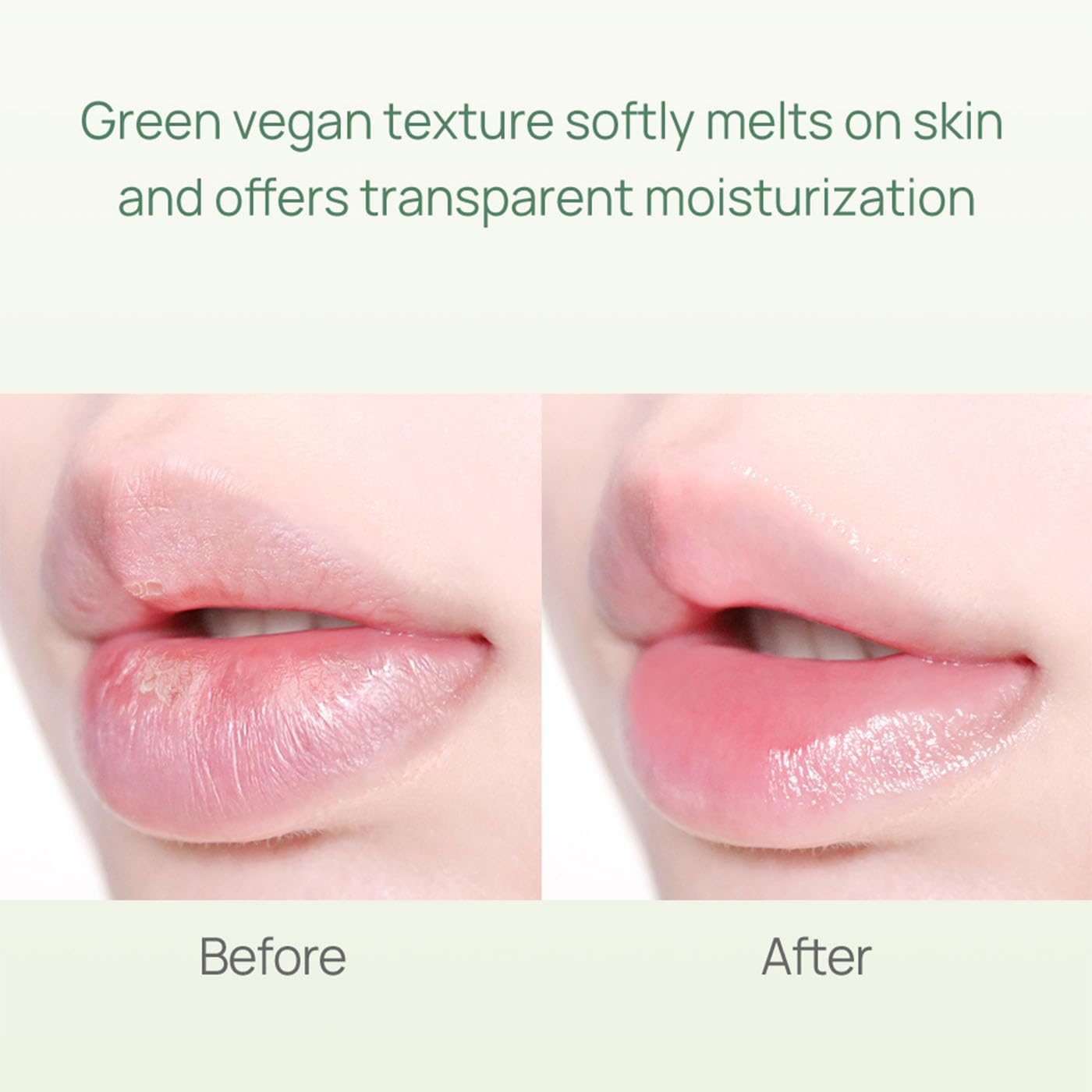 YNM Fresh Green Lip Balm Beauty and Personal Care YNM