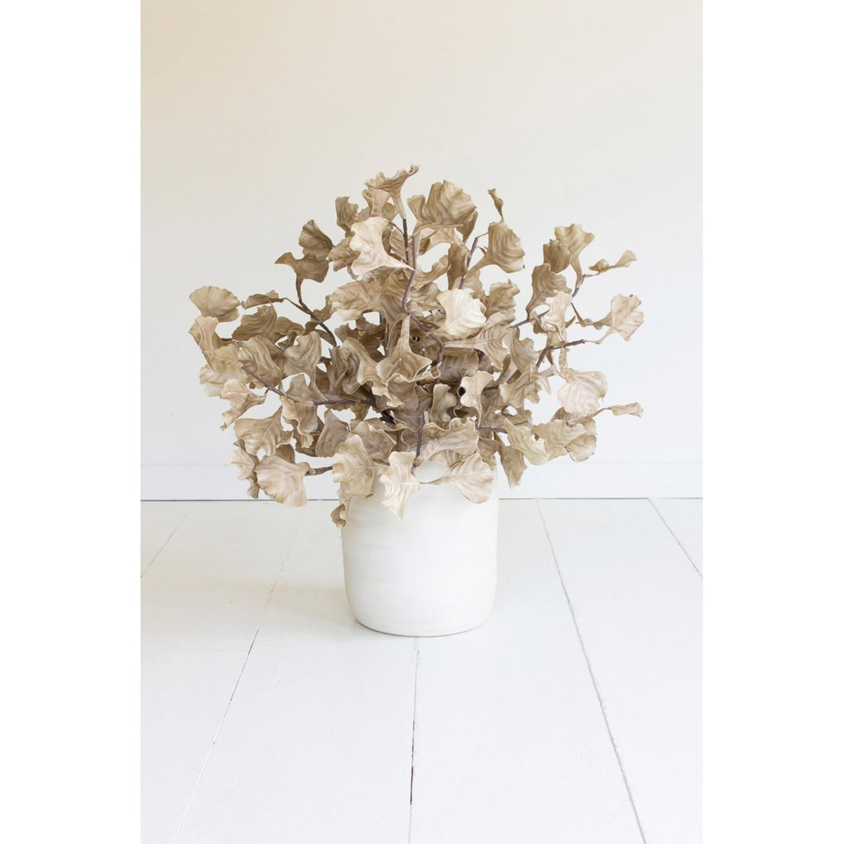 KALALOU Botanica #3558