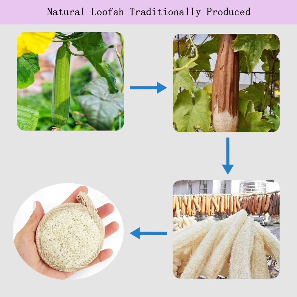 haikuluo Natural Loofah face Scrubber Pads, 6 Pack Beauty and Personal Care haikuluo