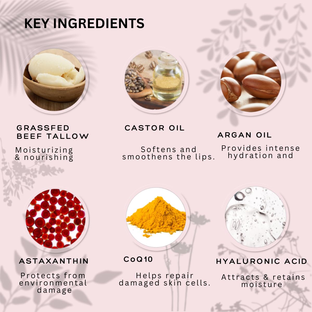Natural Lip Balm - 100% Grass-fed Beef Tallow, Argan Oil, CoQ10, Astaxanthin, Hyaluronic Acid - Moisturizing, Organic - Made in USA (Cool Rose) Beauty and Personal Care Simple Sophistication