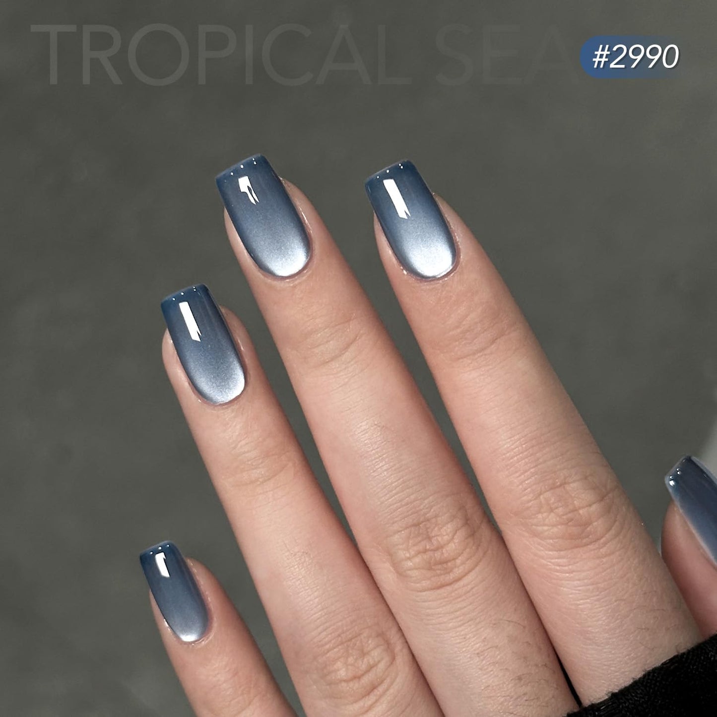 GAOY Blue Cat Eye Gel Polish Set with Magnet, Royal Navy Blue, Tropical Sea Beauty and Personal Care GAOY