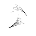 e.l.f. Essential Individual Lash Kit 1715 Black Beauty & Personal Care e.l.f.