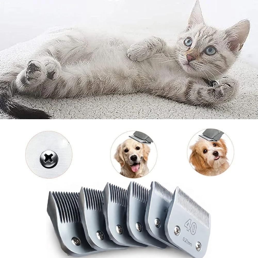 A5 Blade?Compatible For Andis?Compatible For Oster?Pet Dog Hair Trimmer Clipper(5F) Beauty and Personal Care AMARJSGPA