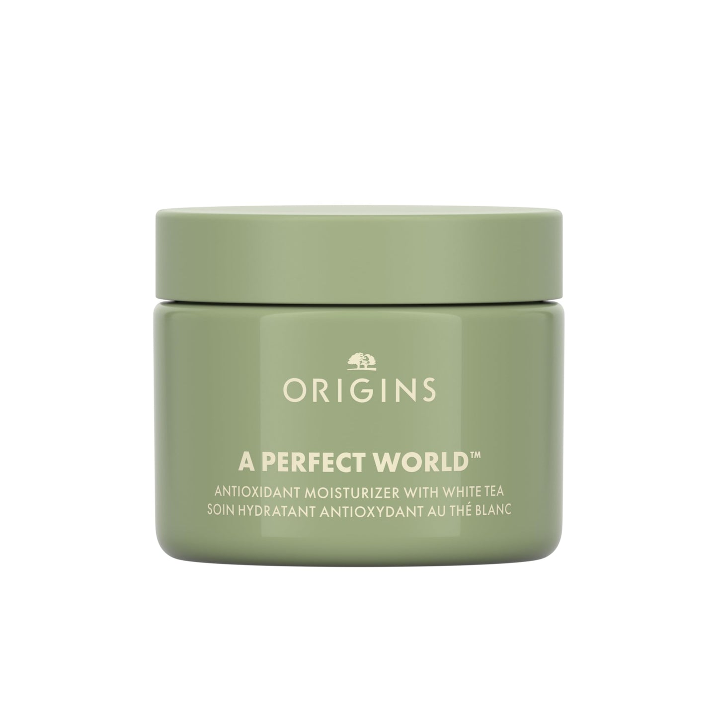 Origins A Perfect World Antioxidant Moisturizer | Keeps Skin Looking Youthful | With White Tea, 1.7 Fl Oz Beauty & Personal Care Origins