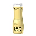 ATTITUDE Clarifying Hair Shampoo, EWG Verified, Restores Shine, Naturally Derived Ingredients, Vegan and Plant Based, Lemon Leaves and White Tea, 16 Beauty & Personal Care ATTITUDE