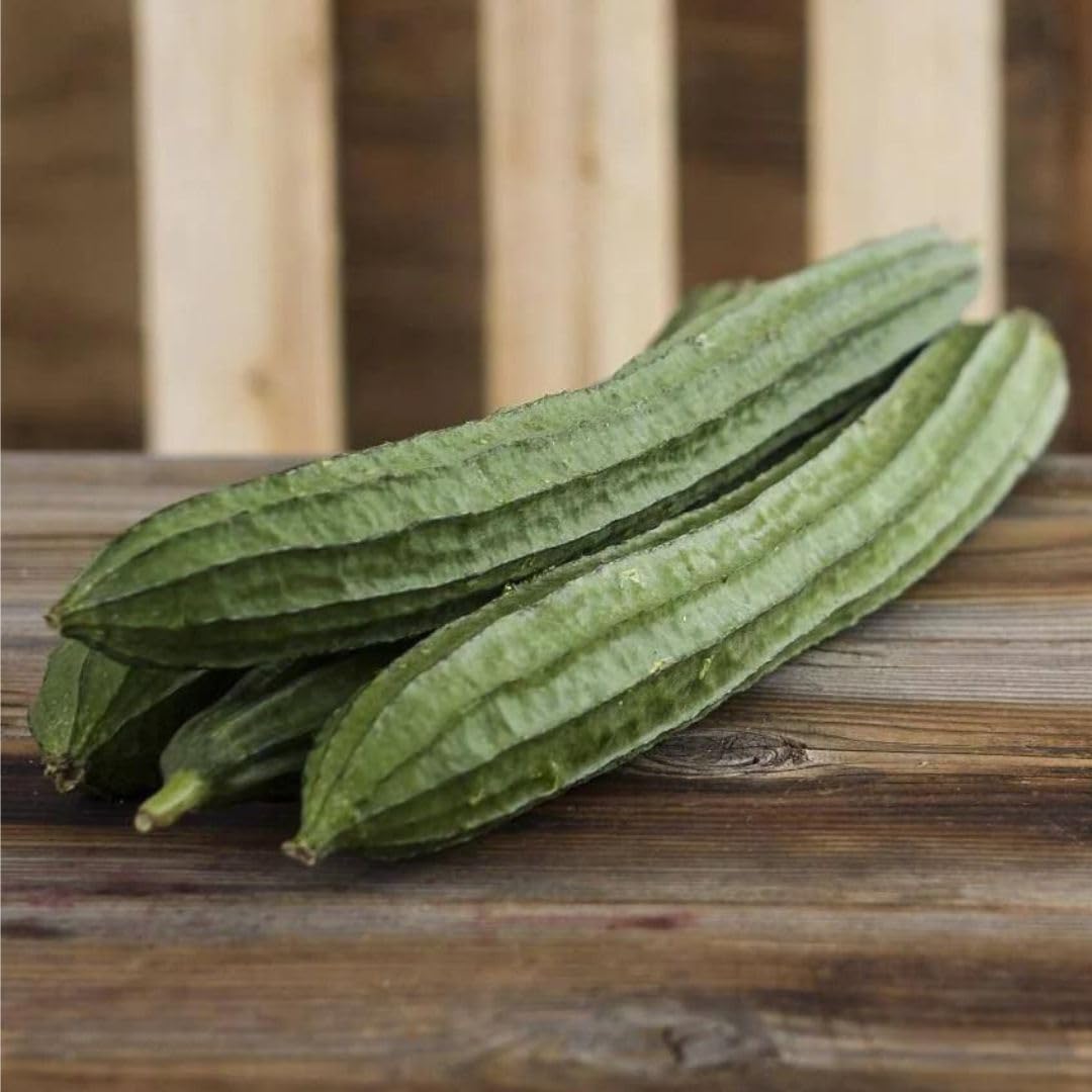 Angled Luffa Sé?ds/Angled Gourd/Tori/Turai/Ridge Gourd/Chinese Okra Sé?ds Loofah - 5 Sé?ds Beauty and Personal Care Artist Unknown
