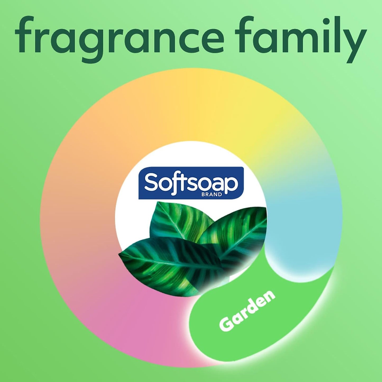 Softsoap Liquid Hand Soap, Moisturizing with Aloe, 7.50-Ounce Beauty & Personal Care Colgate Palmolive