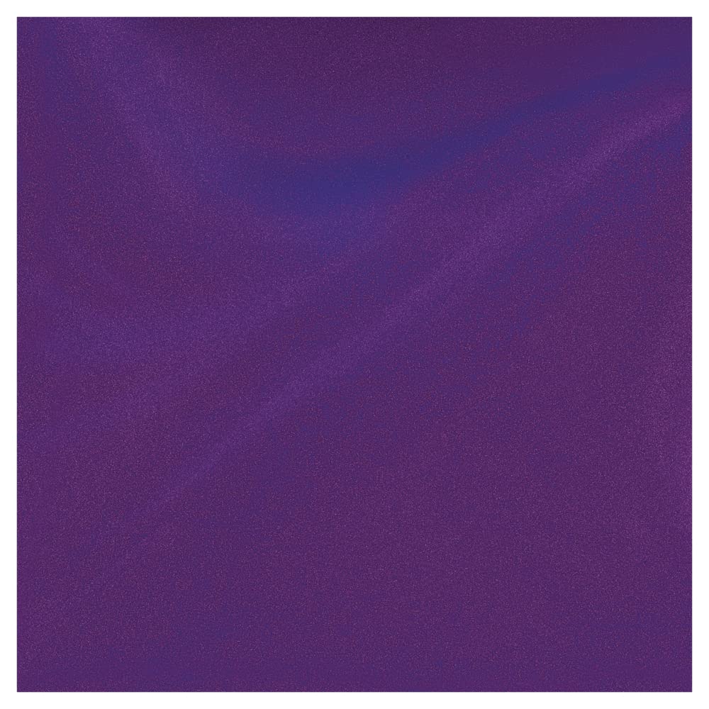Sally Hansen Color Therapy Nail Polish, Plum Euphoria 402 Beauty & Personal Care Sally Hansen