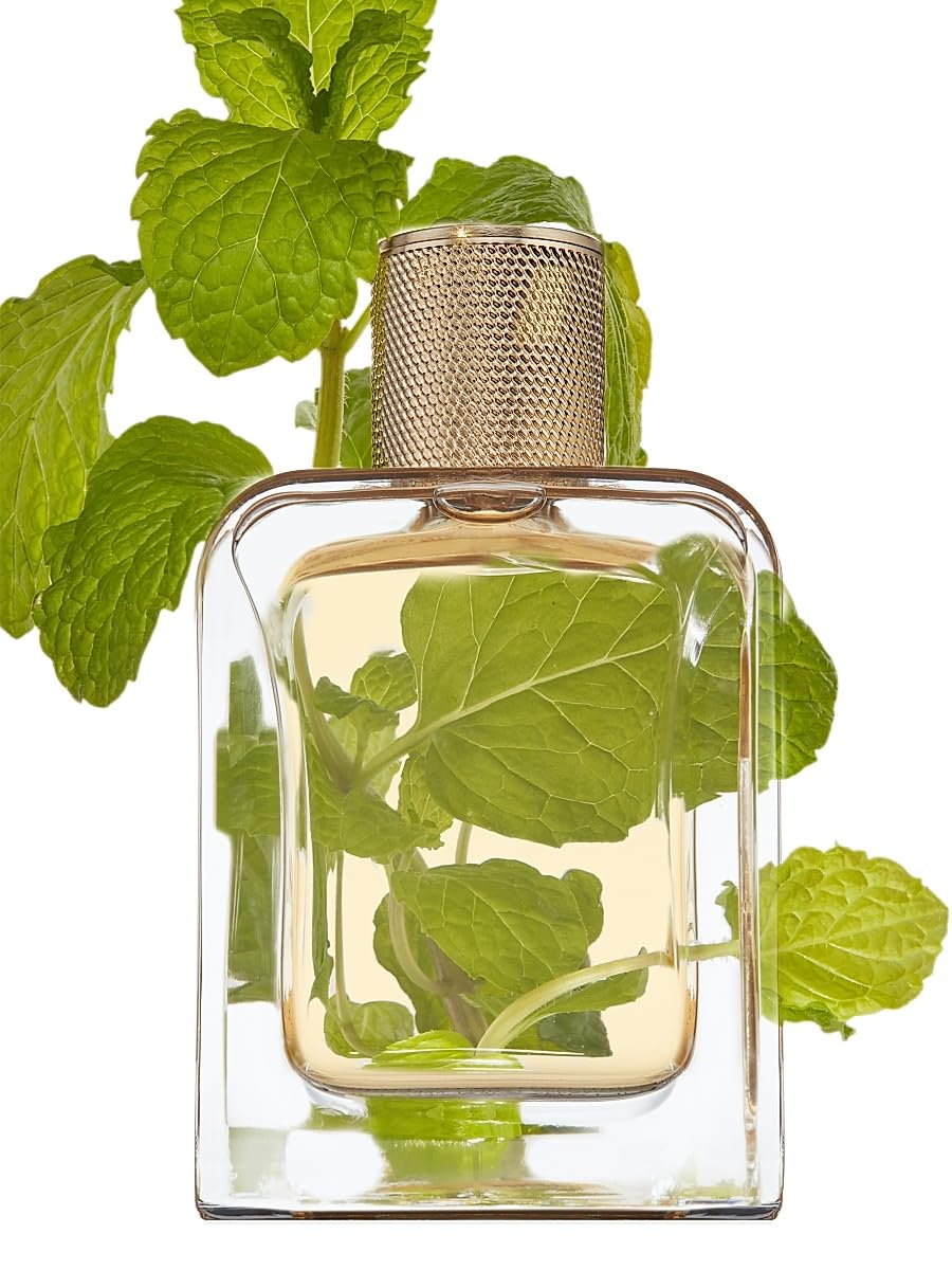 Veronique Gabai, Vert Désir Eau de Parfum Beauty & Personal Care Veronique Gabai
