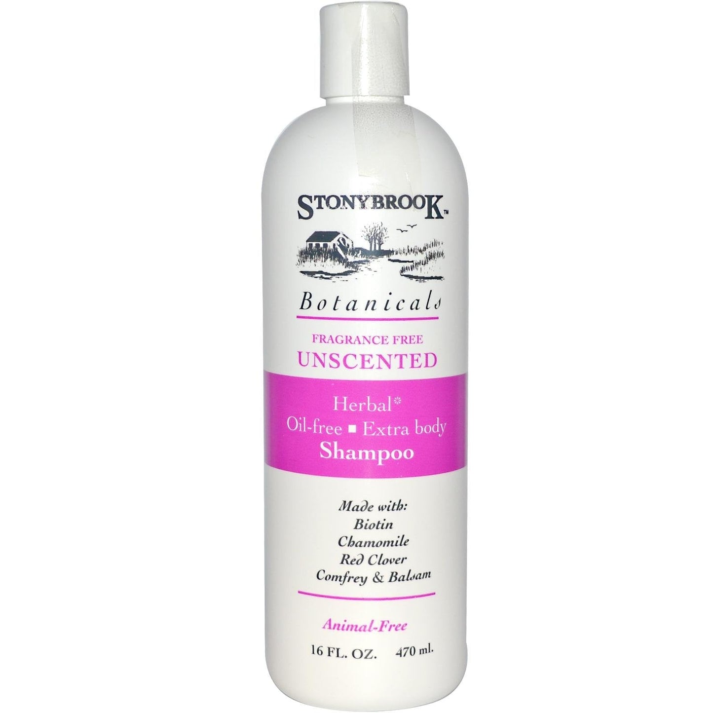 Shampoo-Oil & Fragrance Free - 16 oz. Beauty & Personal Care Stonybrook