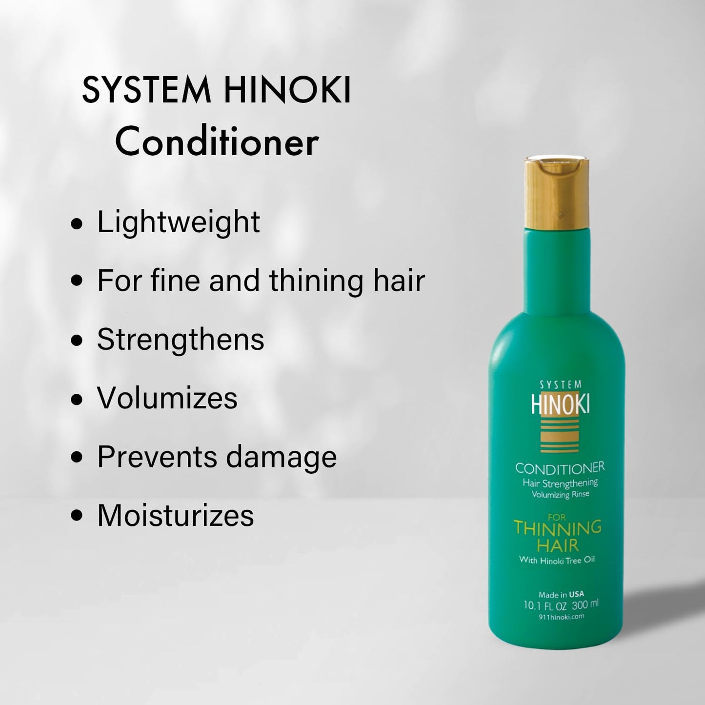 Hayashi System Hinoki Shampoo & Conditioner 10.1oz Duo "Set" Beauty & Personal Care Hayashi