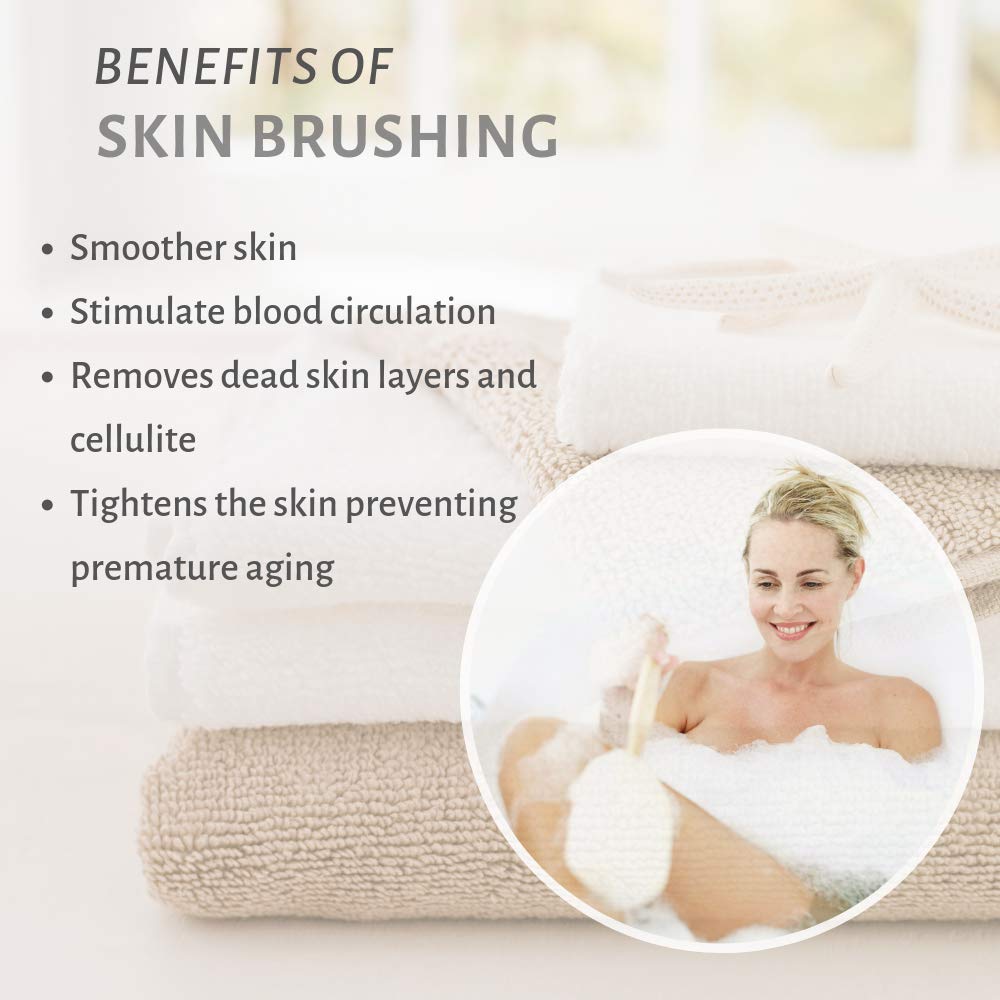 Touch Me 3 Set Body Brush Set - Long Wooden Dry Bath Body Back Brush, Contour Handle Natural Bristle Brush and Facial Brush Beauty and Personal Care Touch Me