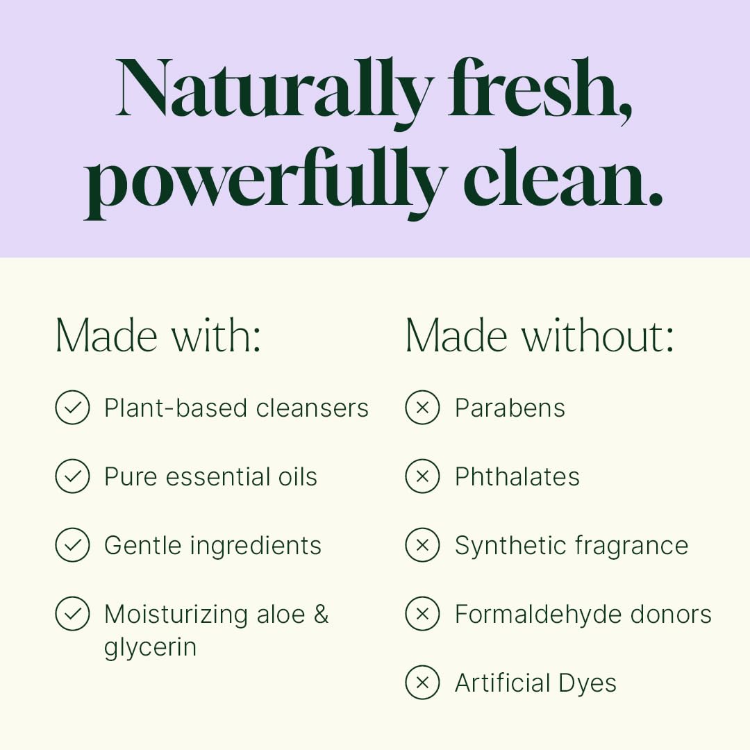 Plant Therapy Home Lavender Rosemary Foaming Hand Soap Refill 32 oz, Refreshing & Natural Herbal Scent, Gentle Plant-Based Ingredients, Enough Beauty & Personal Care Plant Therapy