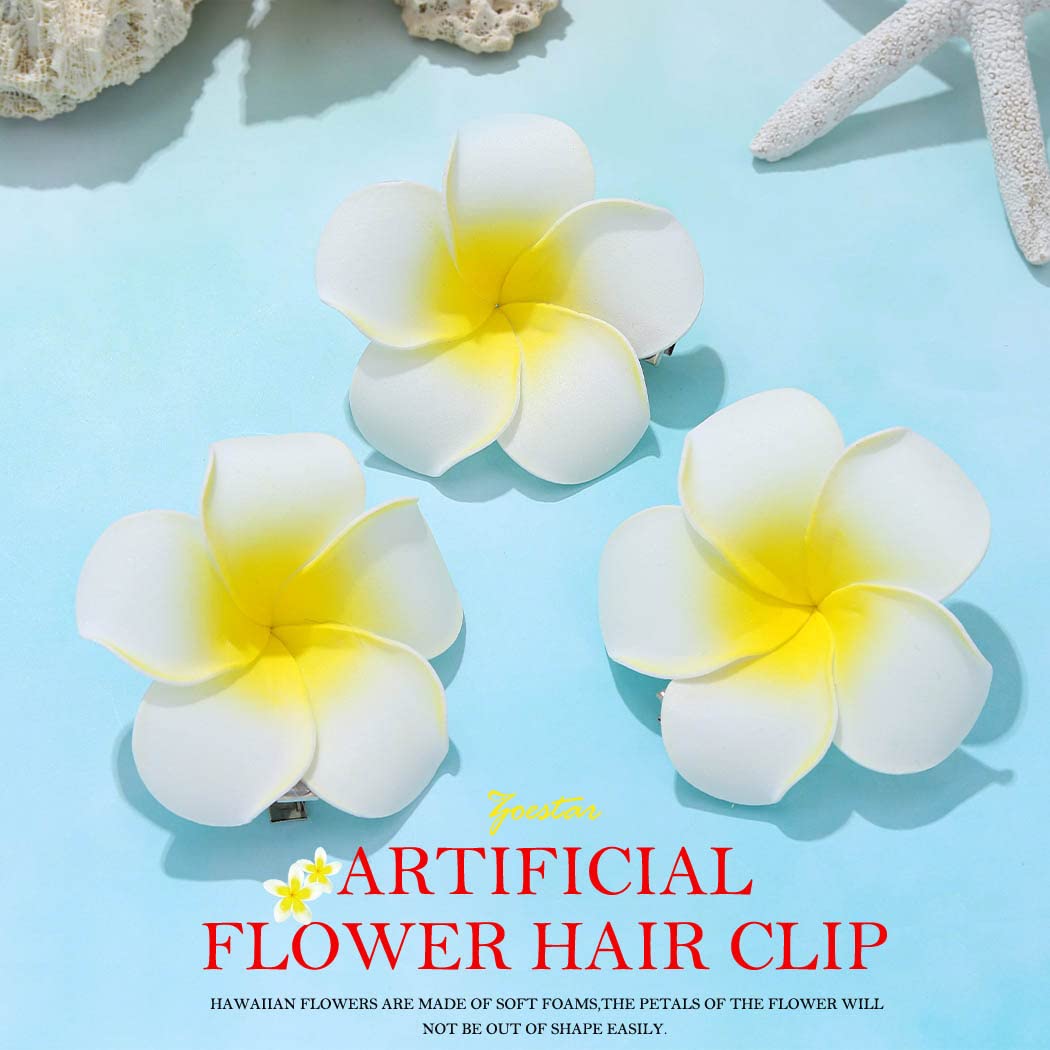 Zoestar Hawaii Flower Hair Clip Plumeria 3pcs Beach Hair Accessory for Women Beauty & Personal Care Zoestar
