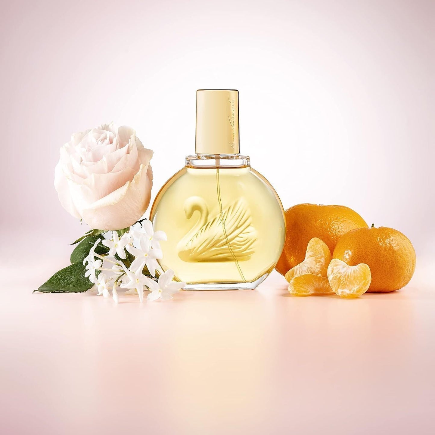 Women's Perfume Vanderbilt Vanderbilt EDT Beauty & Personal Care Gloria Vanderbilt