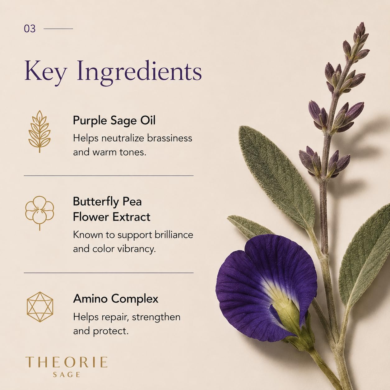 THEORIE 400 mL Shampoo & Conditioner Collection (THEORIE Sage Collection Hair Care Sets (Purple Sage 400 mL Shampoo & Conditioner Set)) Beauty & Personal Care Theorie