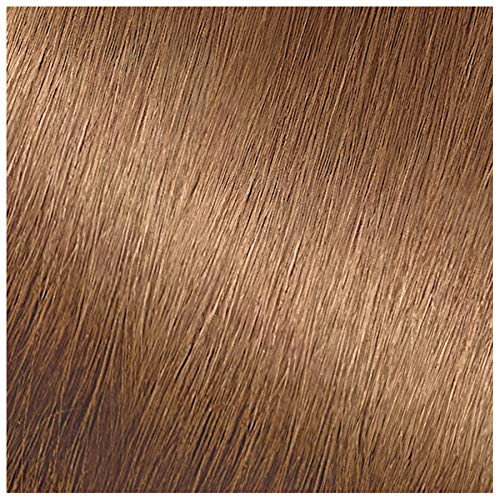 Garnier Hair Color Nutrisse Nourishing Creme, 72 Dark Beige Blonde (Sweet Latte) Permanent Hair Dye, 2 Count (Packaging May Vary)