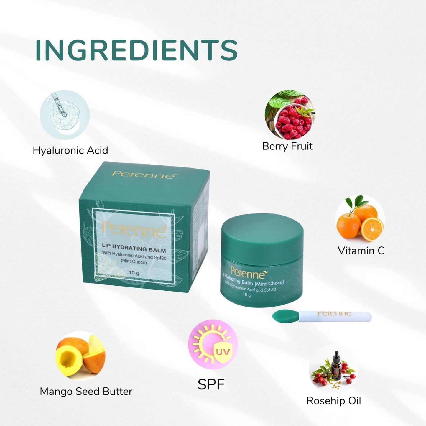 Perenne Lip Hydrating balm For (Mint Choco) With Hyaluronic acid and SPF (10 gm) Beauty and Personal Care Perenne