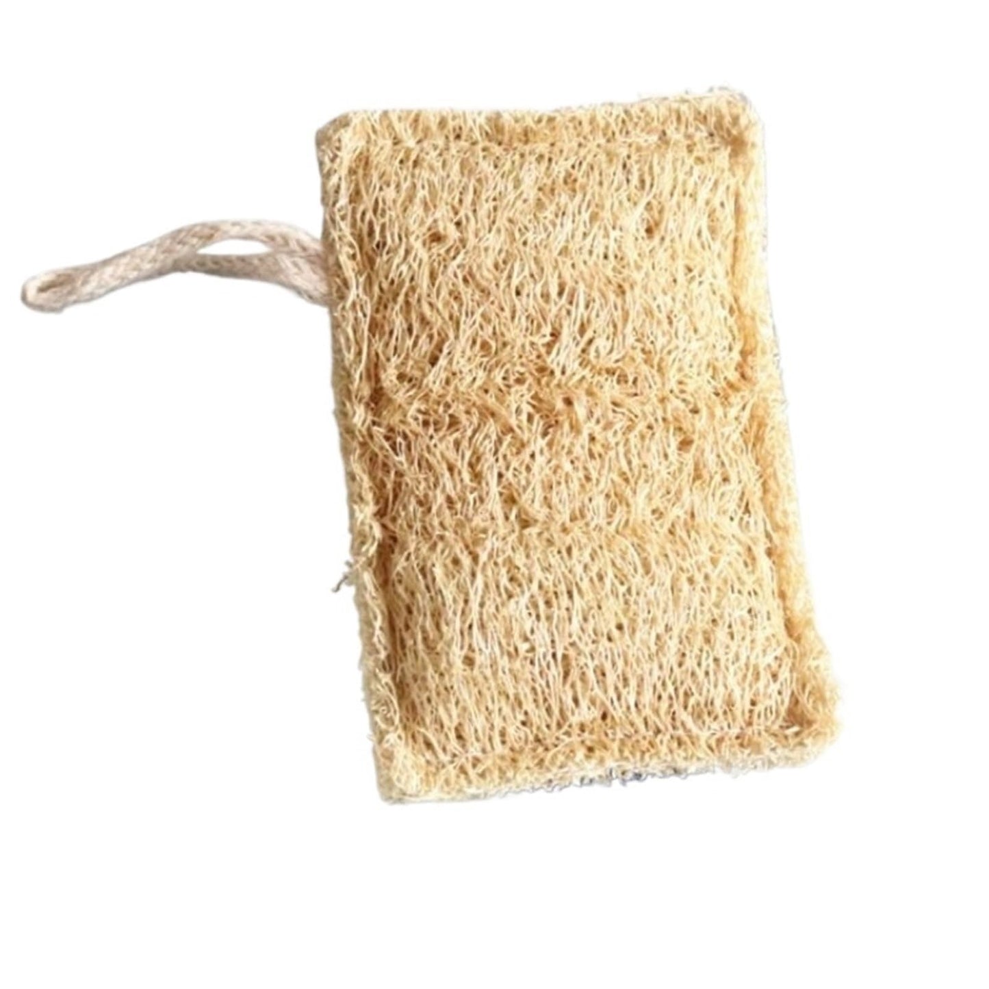 Kitchen Loofah Sponge Greener Clean Tools Non-Scratch Brush Natural Dish Scrubbers Luffa Loofa Lufa Sponge Tools(1 pcs) Beauty and Personal Care HIVJEEDYH