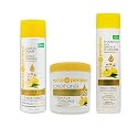 Mirta de Perales Lemon & Chamomile Shampoo + Conditioner + Leave-in Cream "Set" Beauty & Personal Care Mirta De Perales