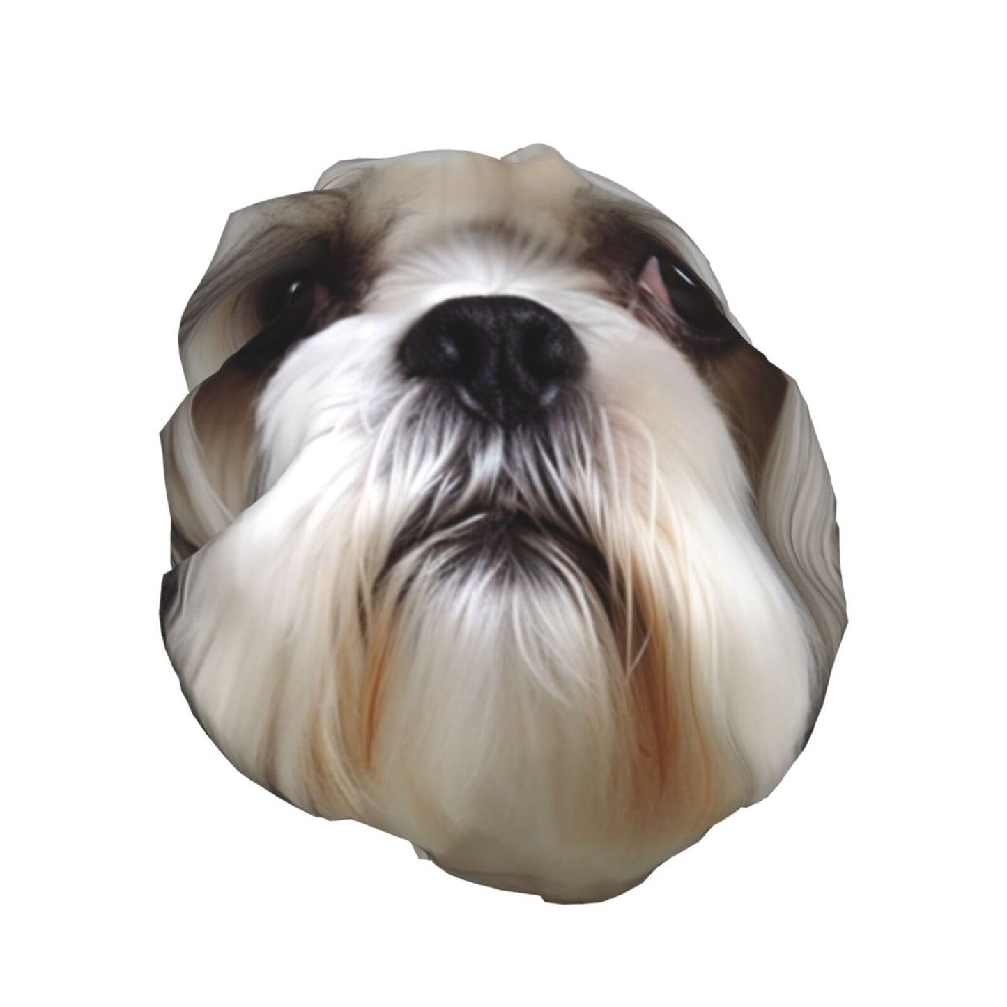 Shih Tzu Dog Shower Cap for Women Men Large Reusable Shower Bonnet Double-Layer Waterproof Bath Caps Elastic Band Hair Hat for All Hairstyles Beauty and Personal Care BWLHJKE