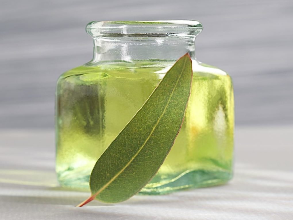 Clay Dry Bold Eucalyptus Mint Vegan Deodorant Zion Health 2.5 oz Stick Beauty and Personal Care Zion Health