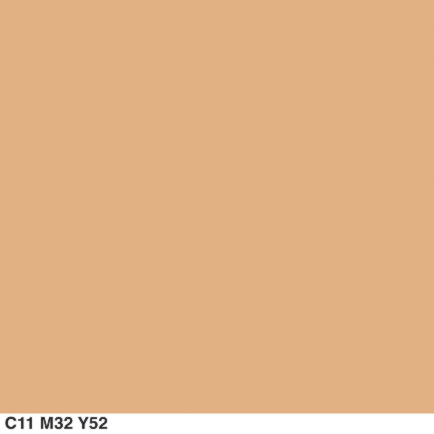COVERGIRL Outlast All-Day Matte Finishing Powder Light to Medium .39 oz (11 g) (Packaging may vary) Beauty & Personal Care COVERGIRL