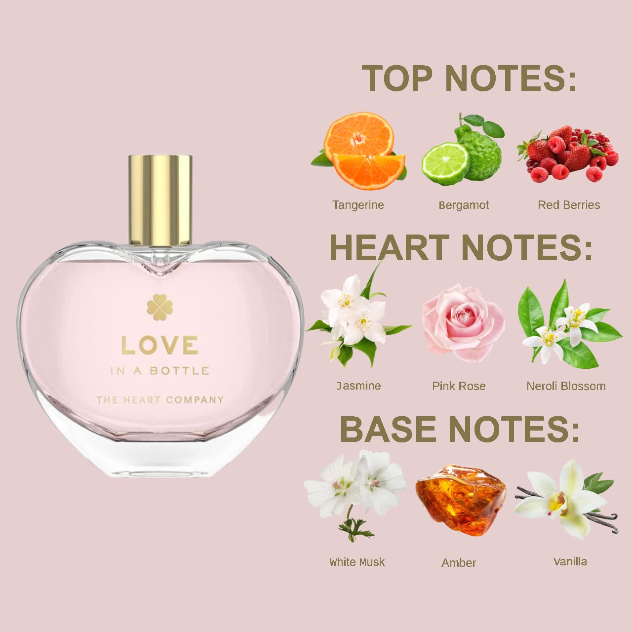 THE HEART COMPANY LOVE in a bottle | Floral & Sweet Perfume for Women | Vegan & Eco-friendly Women's Eau de Parfum | Romantic Fragrance for Her - 75ml Beauty & Personal Care THE HEART COMPANY