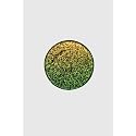 Nekoyanin - Pressed Pigments (Mermaids Cove) Beauty & Personal Care Nekoyanin