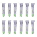 Maxie by Plantico Beauty Clear Lip Polish bulk (12 Pieces) CLEAR/ALOE (ALOE, 12 PCS) Beauty & Personal Care MAXIE BY PLANTICA BEAUTY