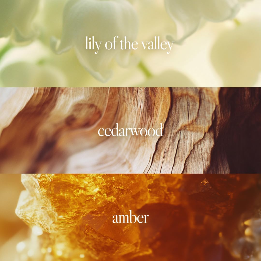 Noteworthy n,551 Amber Sunset Eau De Parfum - Lily of the Valley, Amber, Sandalwood | Sophisticated, Warm Fragrance for Any Occasion | Long-lasting Beauty & Personal Care Noteworthy