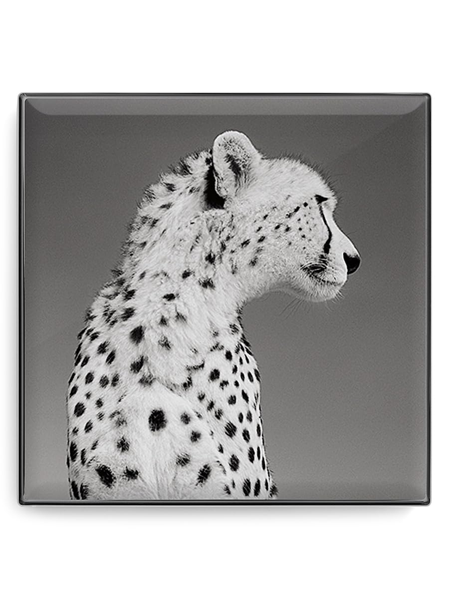 Chantecaille, Luminescent Eye Shade, Cheetah Beauty & Personal Care Chantecaille
