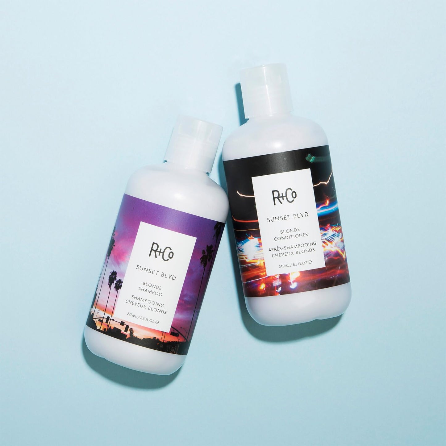 R+Co Sunset Blvd Daily Blonde Shampoo | Daily Brightening + Combats Brassiness + Hydrating | Vegan + Cruelty-Free | 8.5 Fl Oz Beauty & Personal Care R+Co