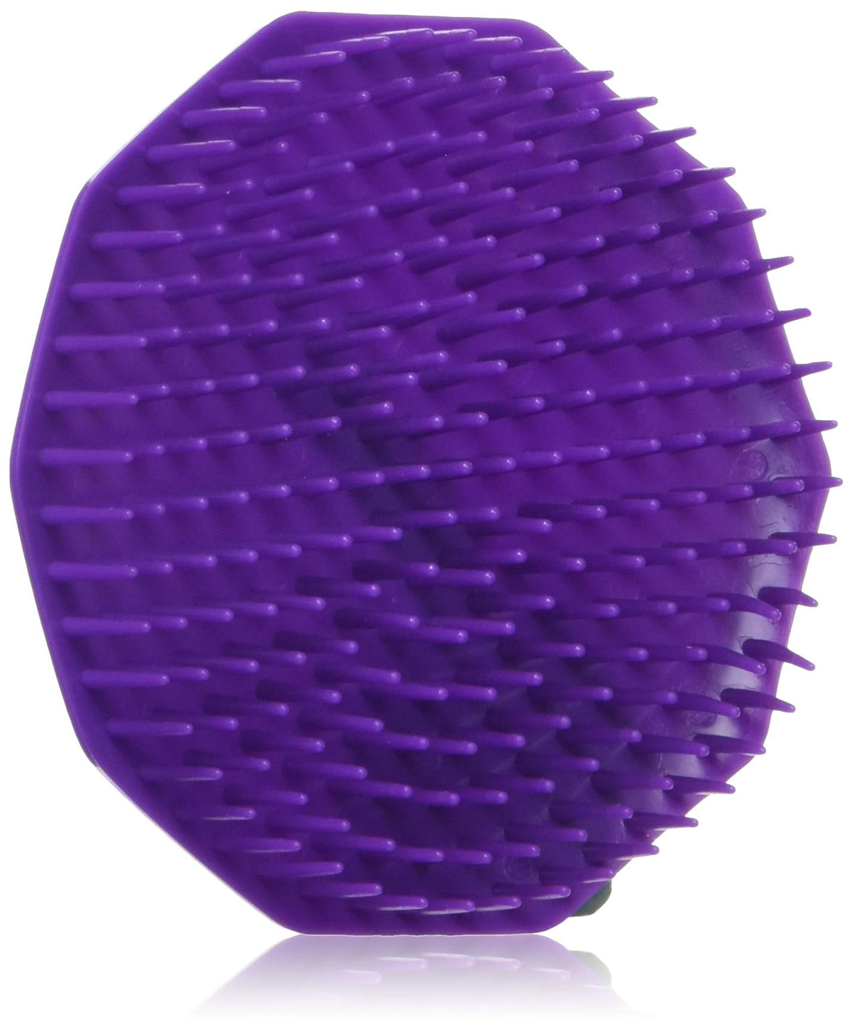 Scalpmaster Shampoo Brush, Purple Beauty & Personal Care Scalpmaster