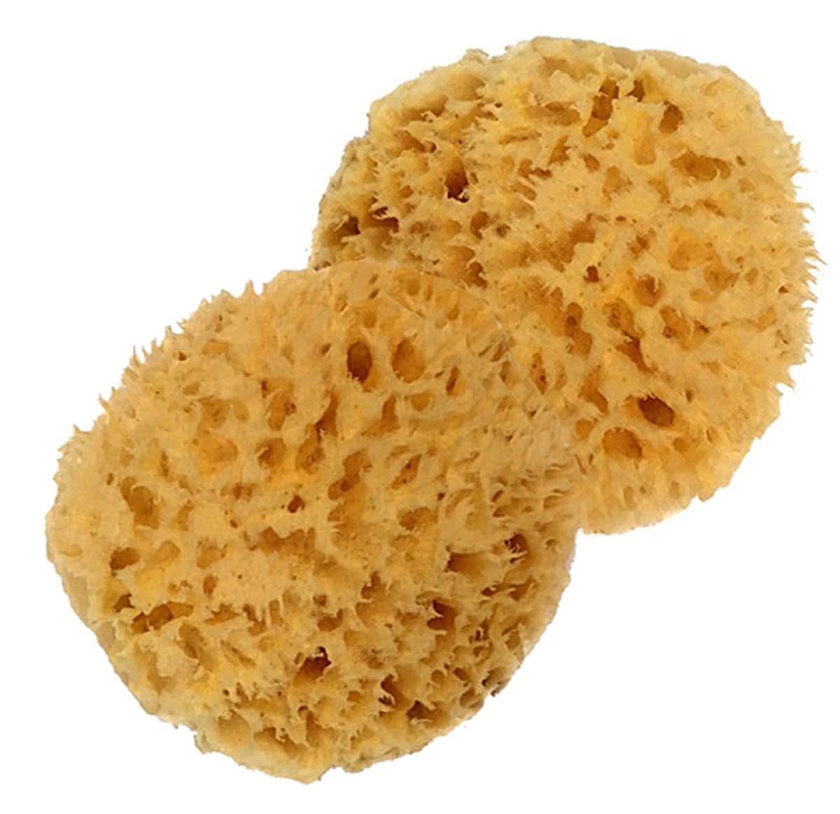 Spa Baby Natural Bath Sponge Spa Destinations. Ultra Soft Premium Sea Wool Sponge, Biodegradable, Bath Accessories Baby and Kids, Infant Bath. Two (2) Beauty and Personal Care Spa Destinations