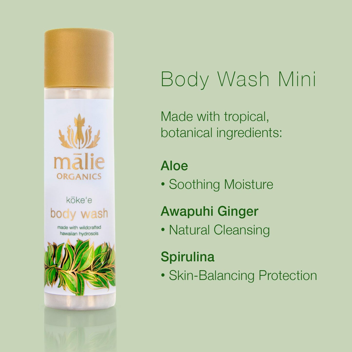 M?lie Organics Body Wash, K?ke‘e, 2.5 oz Travel Size, Hydrating Body Wash + Shave Wash, Aloe + Awapuhi + Spirulina, Vegan Beauty & Personal Care Malie