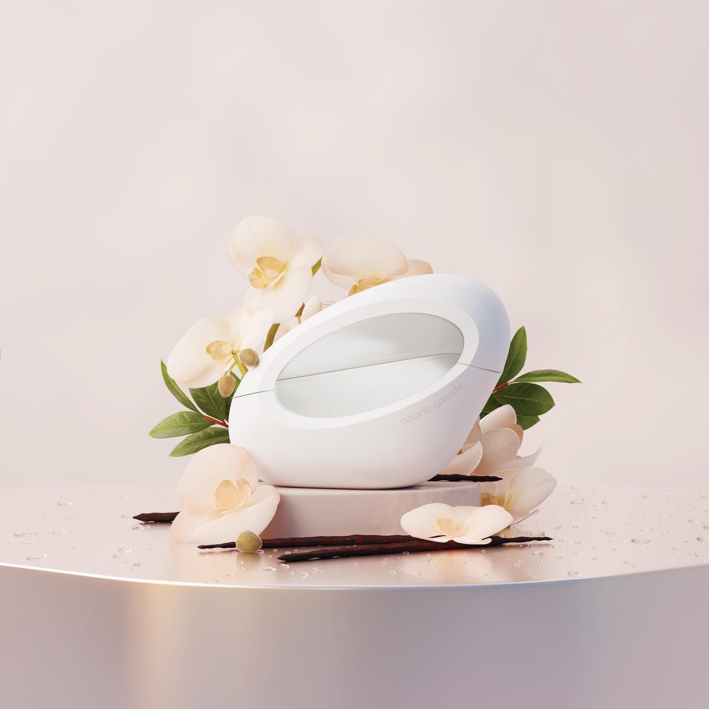 Ariana Grande MOD Vanilla Eau De Parfum - Gourmand Musk Fragrance for Women - Women's Perfume with Notes of Vanilla, Cocoa Butter, Plum & Jasmine Beauty & Personal Care Ariana Grande