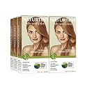 Naturtint 8C Copper Blonde Permanent Hair Color (Pack of 6), Ammonia Free, Vegan, Cruelty Free, up to 100% Gray Coverage, Long Lasting Results Beauty & Personal Care Naturtint