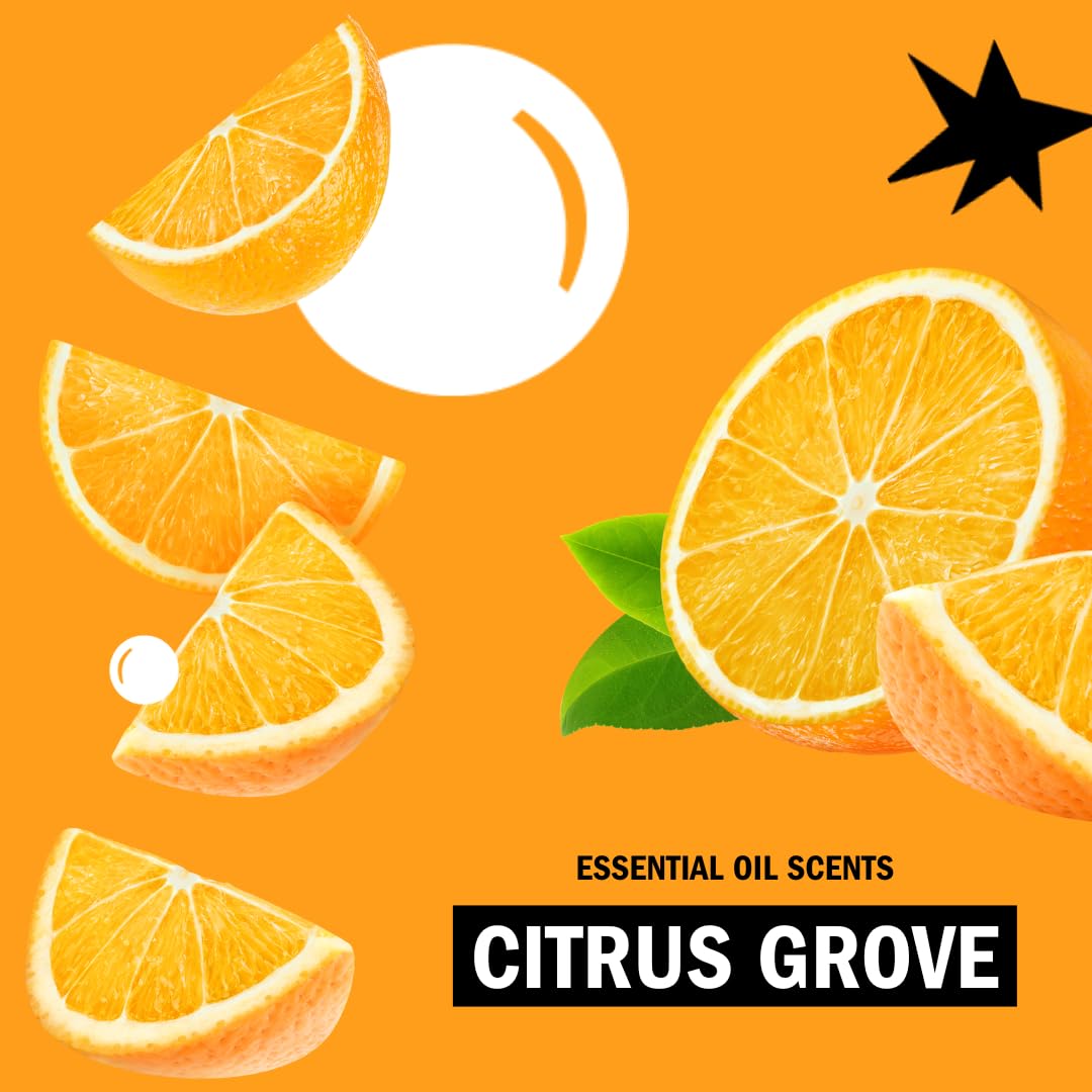 Molly's Suds Foaming Hand Soap - Made with Aloe and Coconut Oil | Moisturizing Hand Wash | Clean Ingredients, Infused with Essential Oils | Citrus Beauty & Personal Care Molly's Suds
