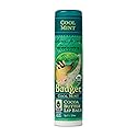 Badger Lip Balm Cool Mint, 0.25 Ounce Beauty & Personal Care Badger