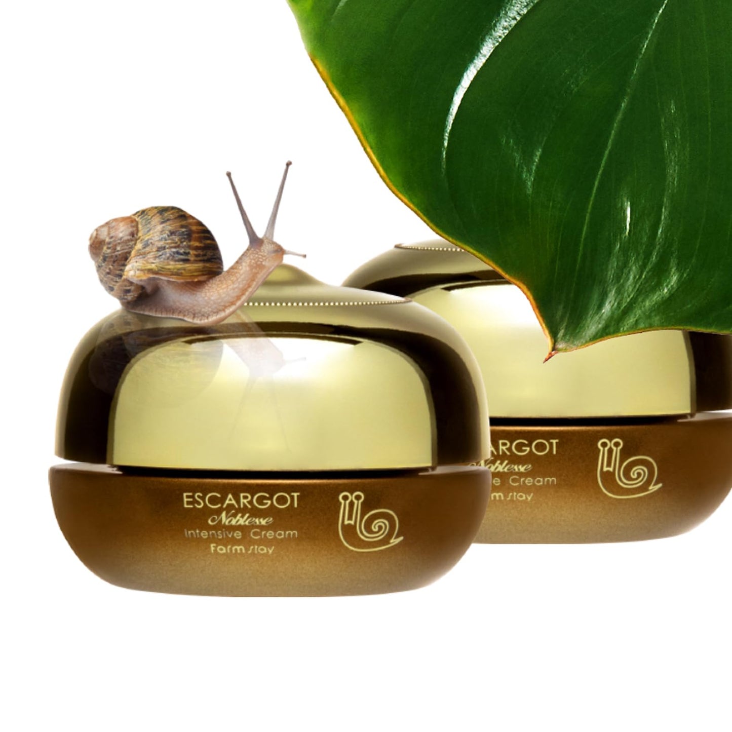 Farmstay Escargot Noblesse Intensive Cream - Anti-Aging Skin Cream with Snail Mucin - Fights Fine Lines and Wrinkles - Deeply Moisturizes - 1.69 oz Beauty & Personal Care FARMSTAY